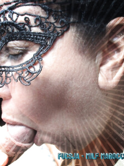 FUCSJA VACCA DEL MAROCCO