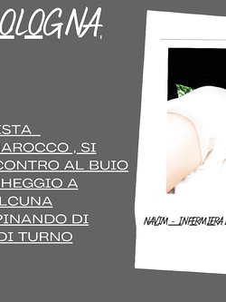 FUCSJA VACCA DEL MAROCCO