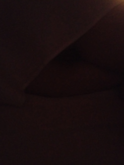 C'è sempre un curioso in casa