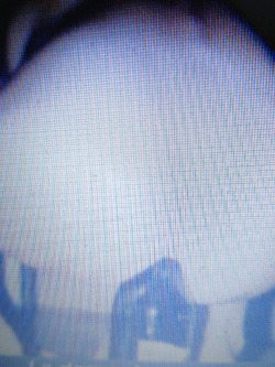 Mone la cagna pugliese