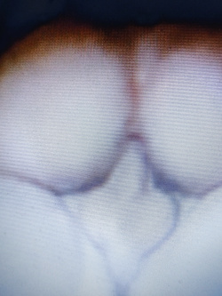 Foto varie Parte 3