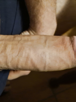 Bel cazzone per amiche a Parma