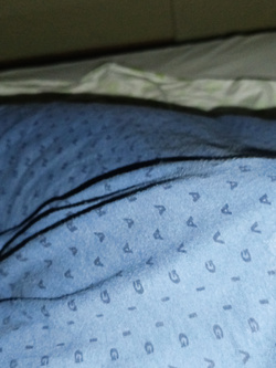 Il buongiorno si vede dal mattino ????