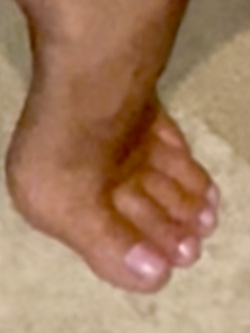 Che Troia mia moglie per voi eccola per tributo tributi