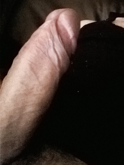 foto per tributi