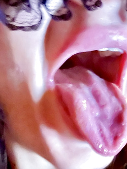 Troia dalla bocca ai piedi