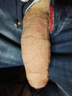 23 cm esibizionismo