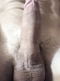 Il mio Cazzo nudo e teso per voi