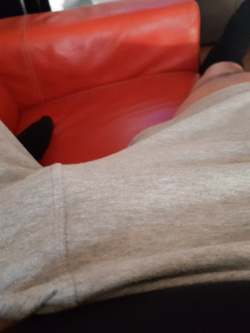 Vuole una cagna che lo raddrizza