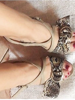 Piedi
