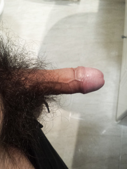 Il mio amico fedele