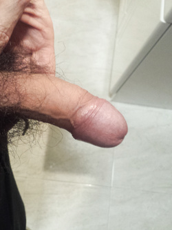 Il mio amico fedele