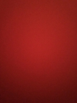 io e la mia signora