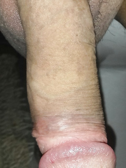 Il mio