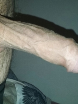 Il mio arnese 2