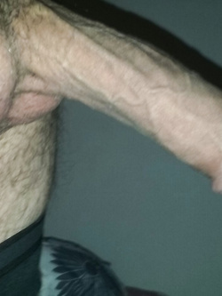 Il mio arnese 2
