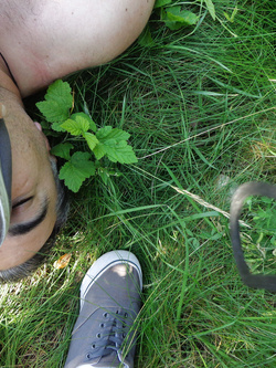 schiavo  mariana cicciona