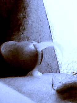 Ambaradan