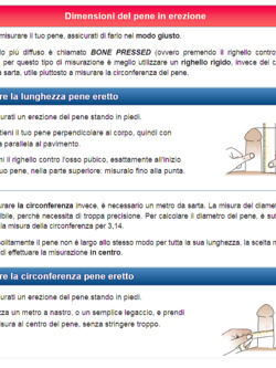 SCHEDA DI CANDIDATURA PER INCONTRI