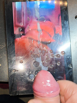 di nuovo il nuovo amico