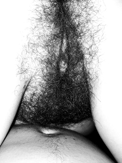 Top pelo