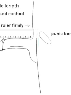 Scheda di candidatura