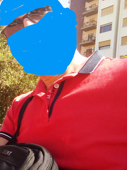 The Wizard in holiday