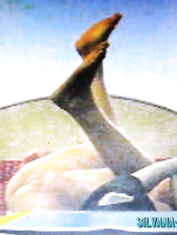 SILVANA  BADANTE ESIBIZIONISTA