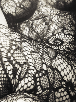 Lady Butterfly