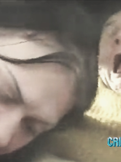 facce da cazzo - facce da sborra