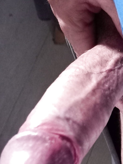 Il mio pisello in esposizione in cerca di qualche figa