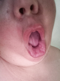 Birdwatchinghothotmmmmmmmmmmmh