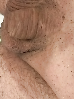 Il mio micropene rasato in selfie hot
