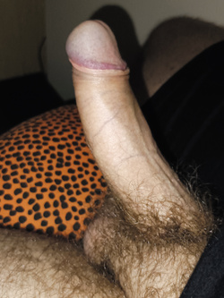 Il mio cazzo in erezione per voi...