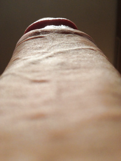 Vera porca