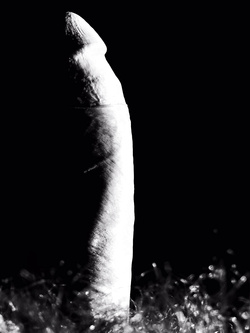 Il mio cazzo Parte 115