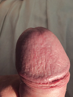 Sempreduro..