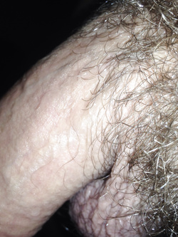 Varie Parte 6