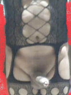 Bsx passivo