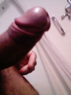 Porro1
