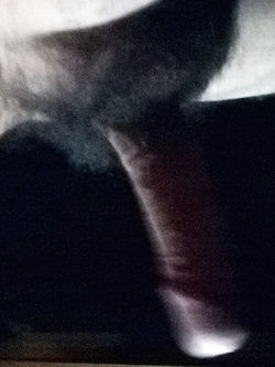 Cazzo di notte