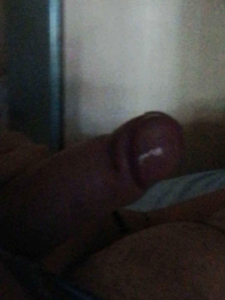 Il mio bel caxxo
