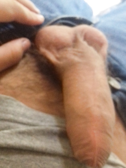 pisello