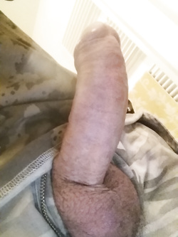 A voi
