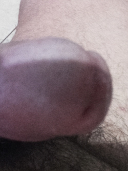 ecco lo