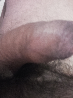 ecco lo