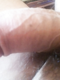 sesso e solo sesso