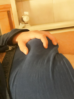 Vi piace il mio amico?