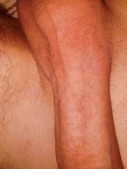 cerco sesso