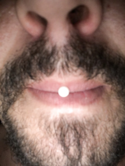 La mia lingua Parte 2